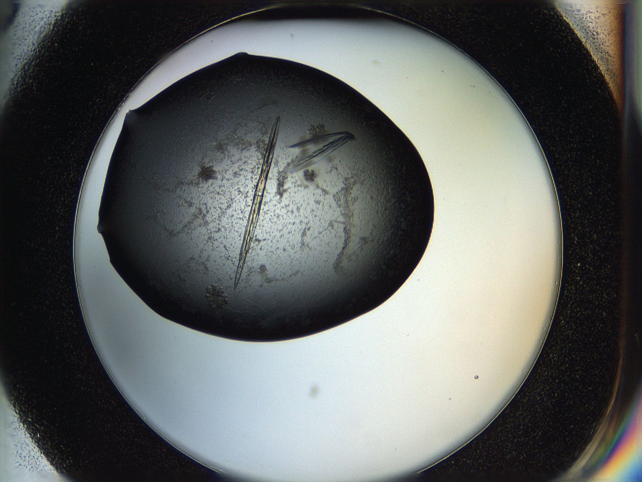 05hw_G3_ImagerDefaults_9.jpg