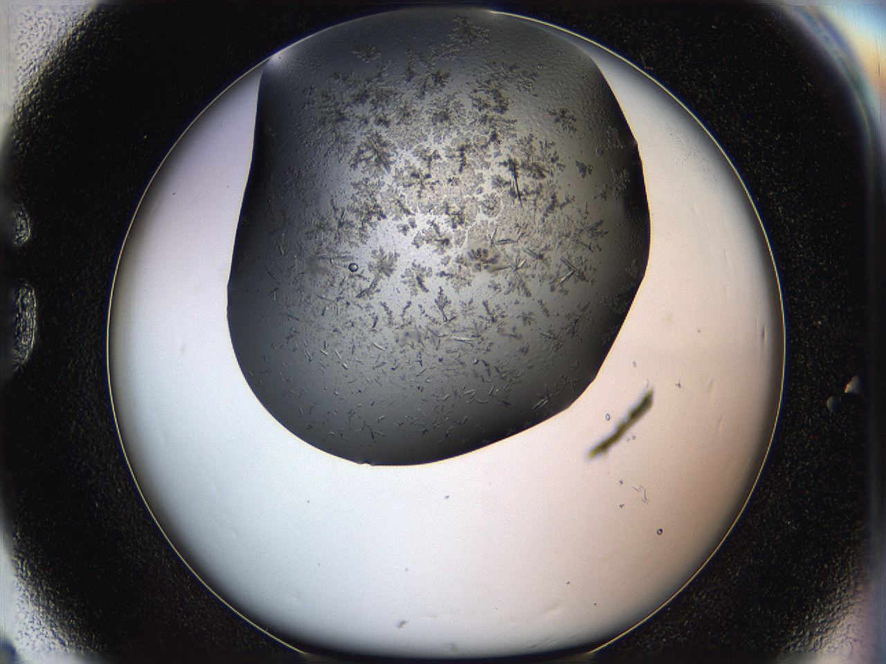 05hw_G8_ImagerDefaults_6.jpg