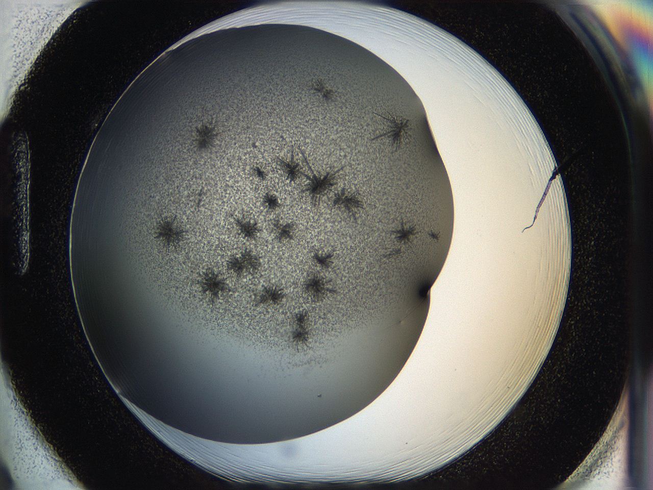 05hw_H2_ImagerDefaults_6.jpg