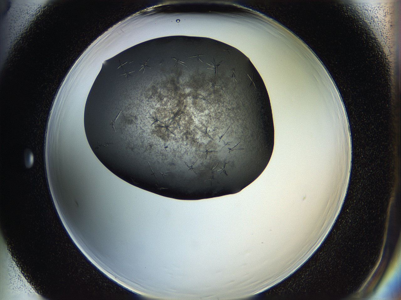 05hw_F5_ImagerDefaults_7.jpg