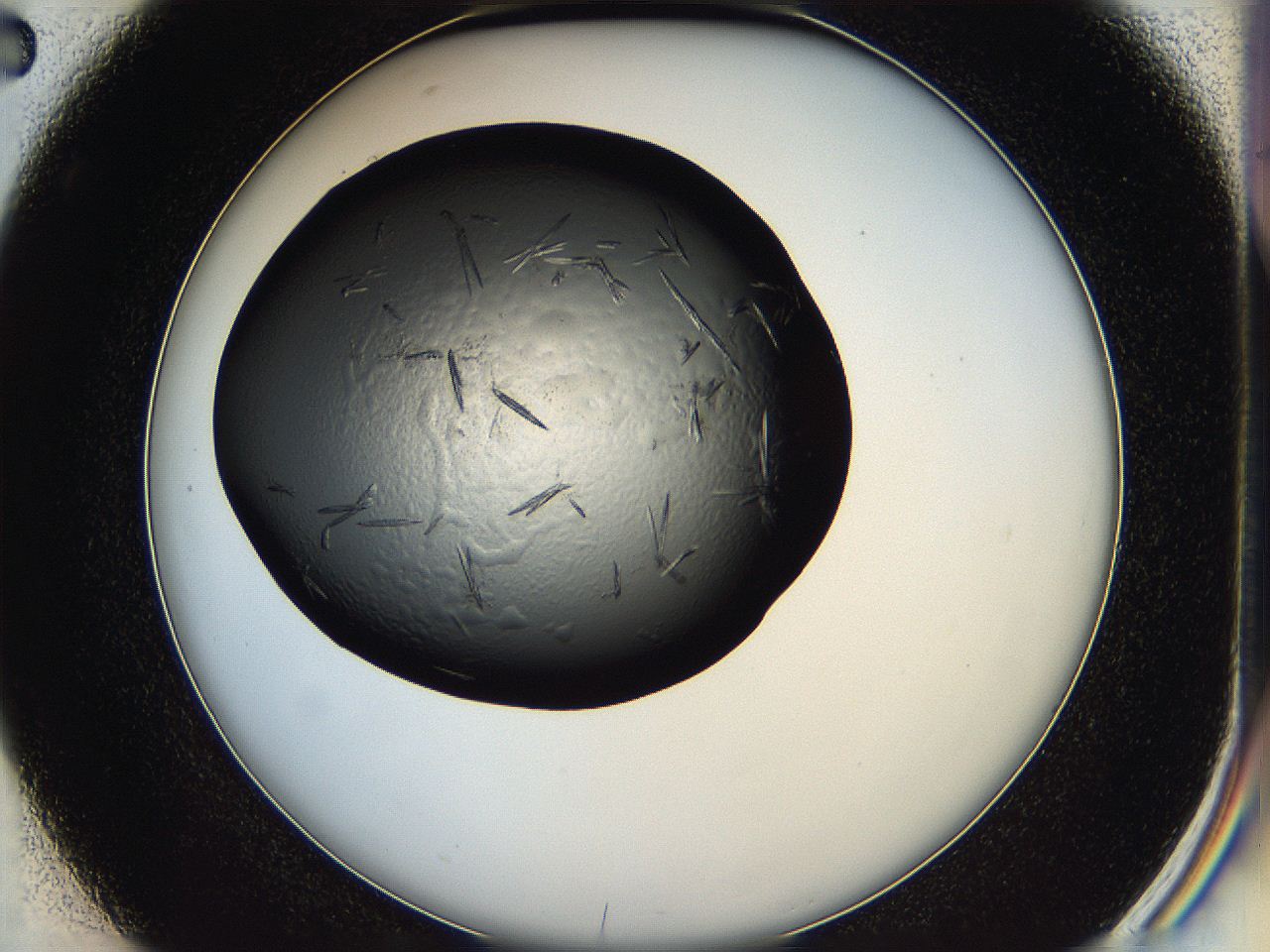 05hw_D2_ImagerDefaults_7.jpg