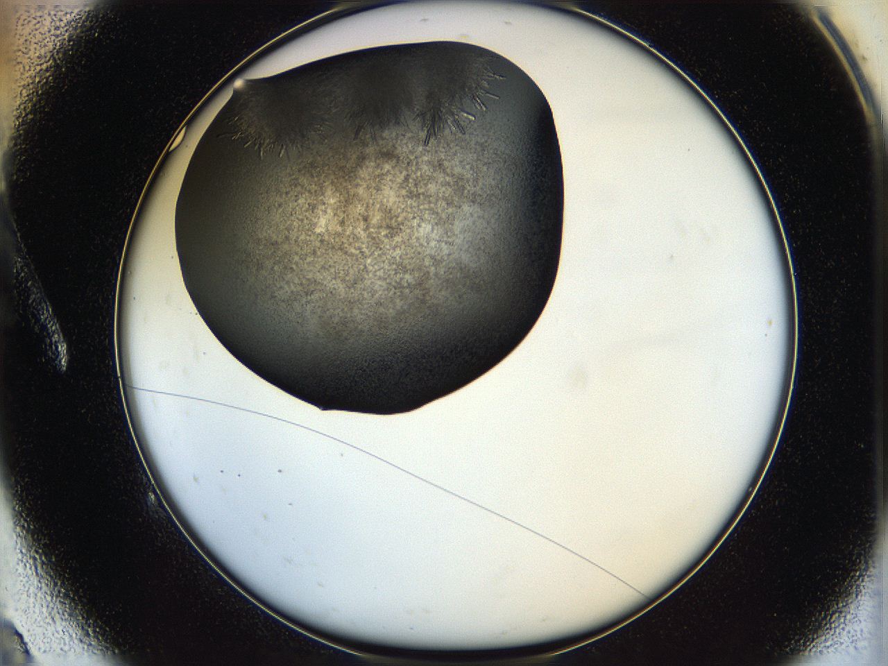 05hw_A9_ImagerDefaults_6.jpg