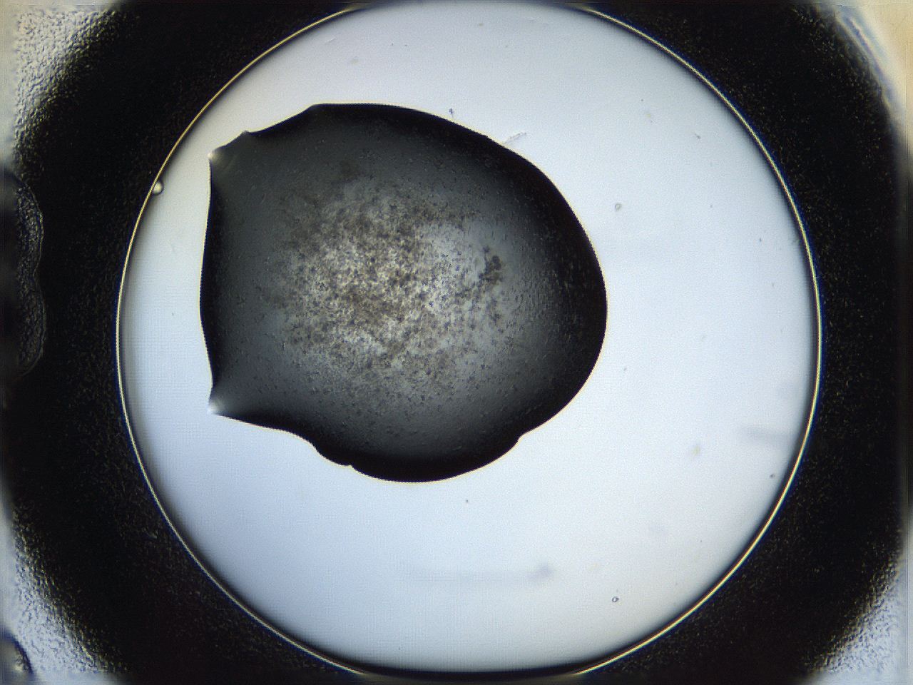 05hx_B9_ImagerDefaults_5.jpg