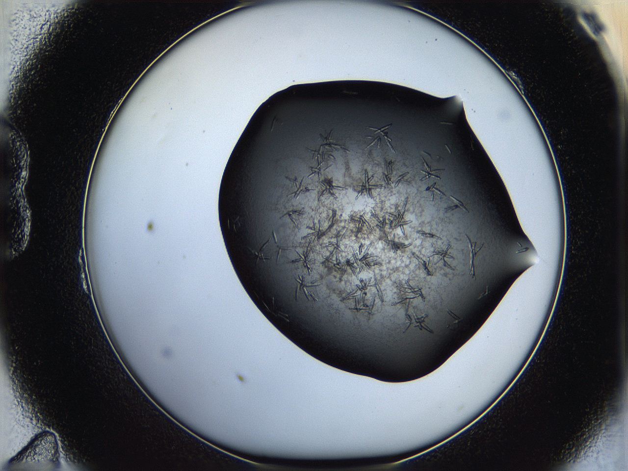 05hx_B11_ImagerDefaults_7.jpg
