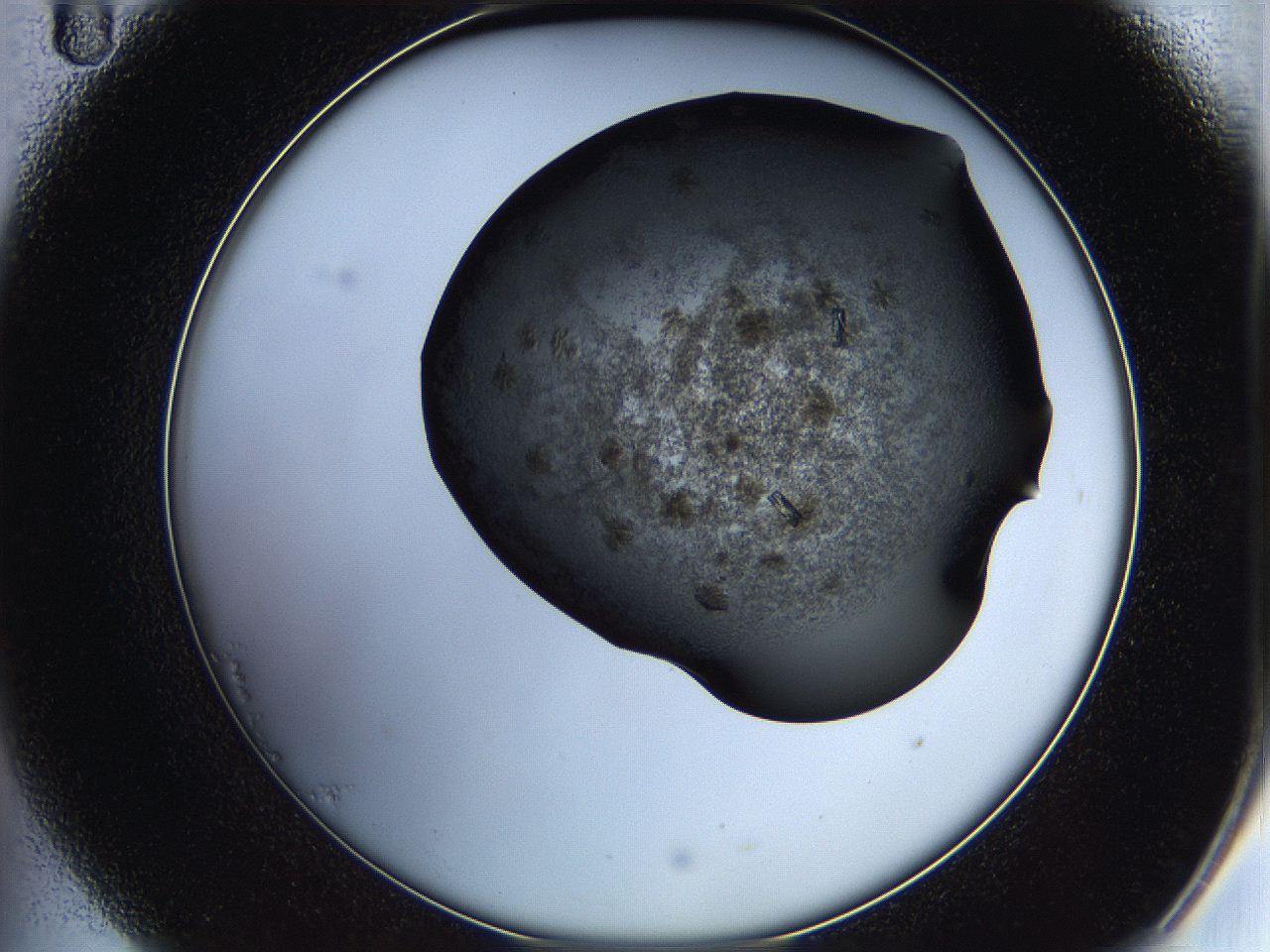 05hx_B11_ImagerDefaults_9.jpg