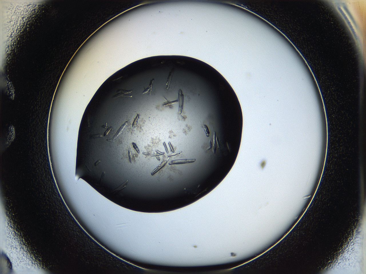 05hx_C8_ImagerDefaults_8.jpg