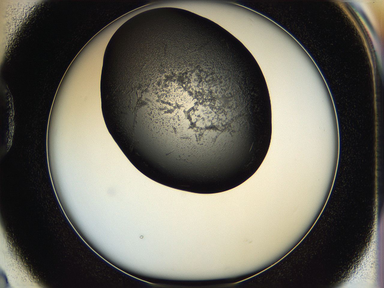 05hx_D2_ImagerDefaults_6.jpg