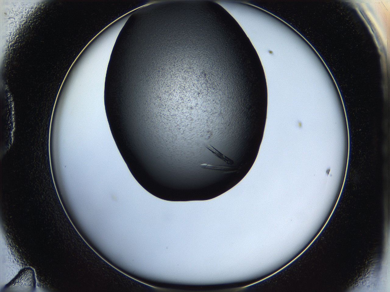 05hx_D11_ImagerDefaults_8.jpg