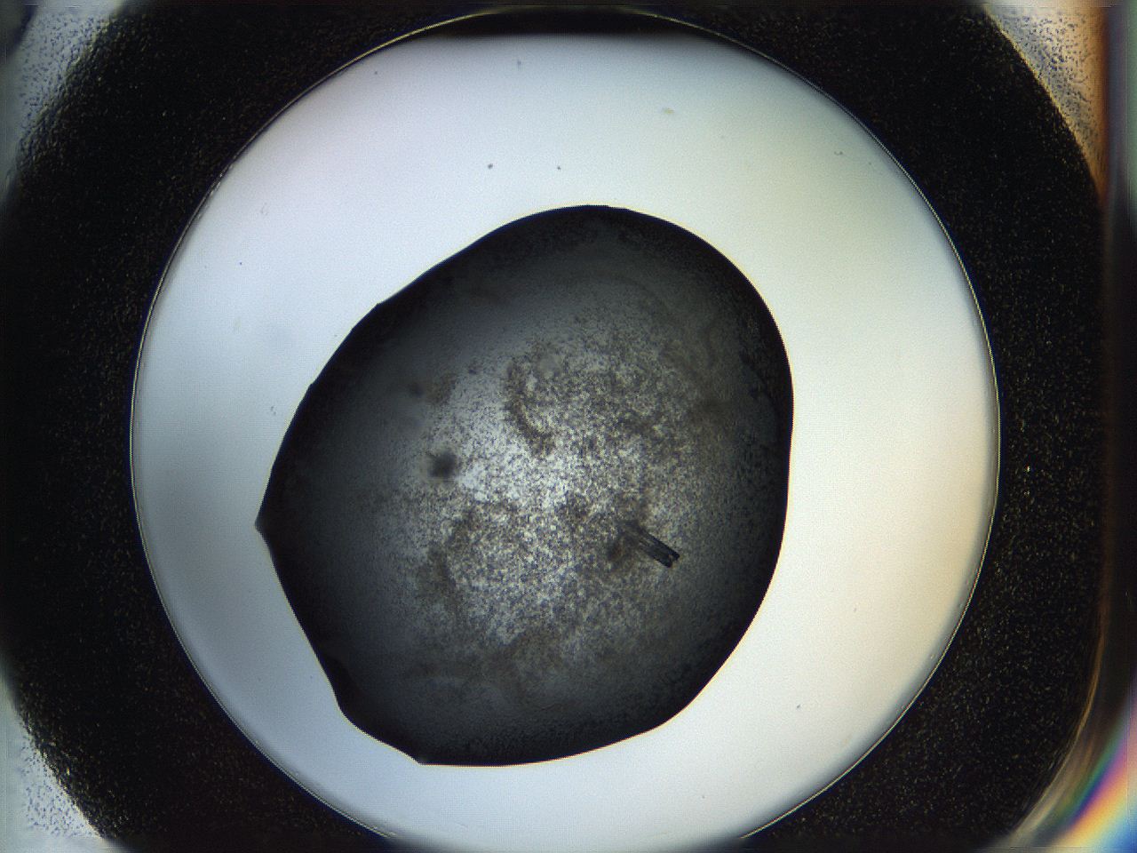 05hx_G3_ImagerDefaults_9.jpg