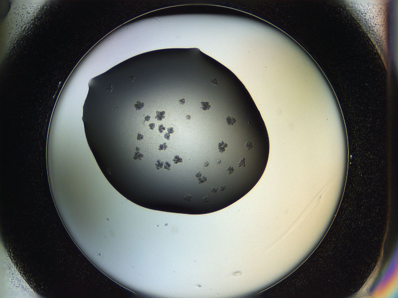05hx_G5_ImagerDefaults_6.jpg