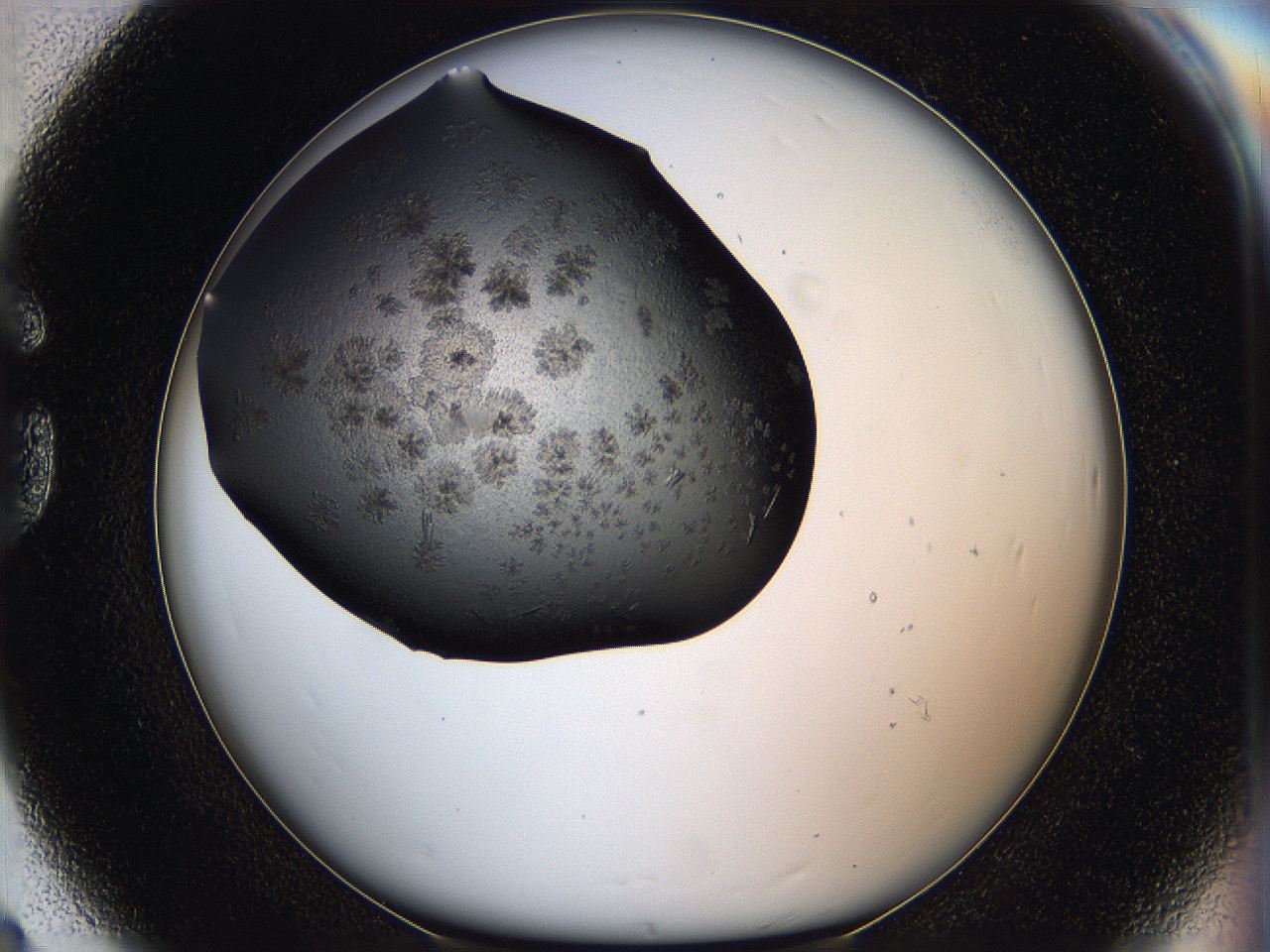 05hx_G8_ImagerDefaults_6.jpg
