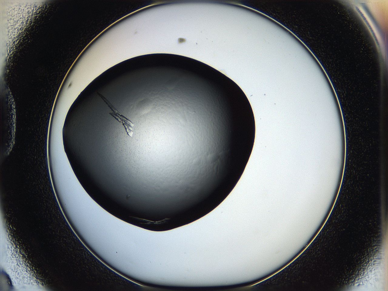 05hx_D8_ImagerDefaults_8.jpg