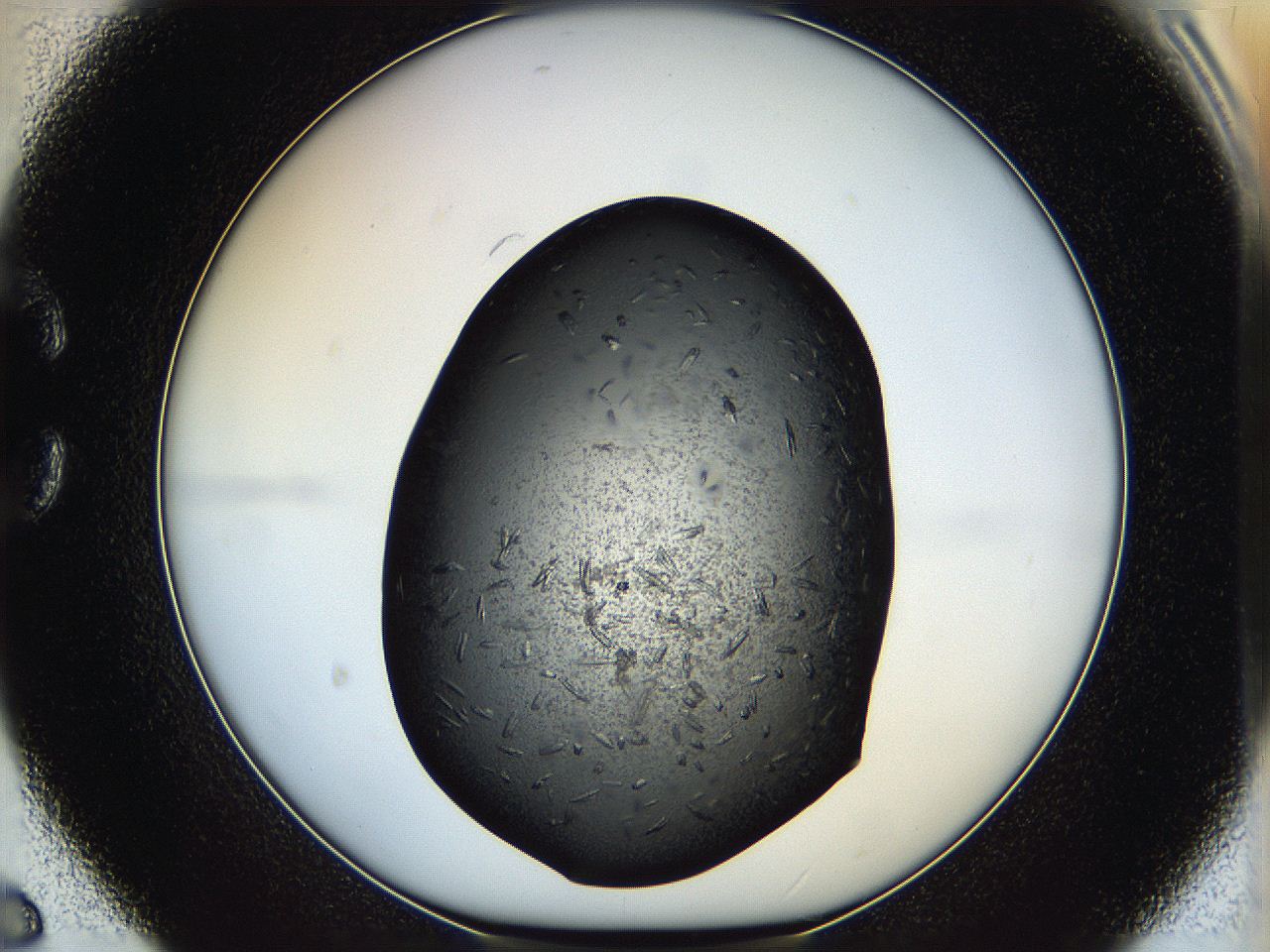 05hx_C6_ImagerDefaults_7.jpg
