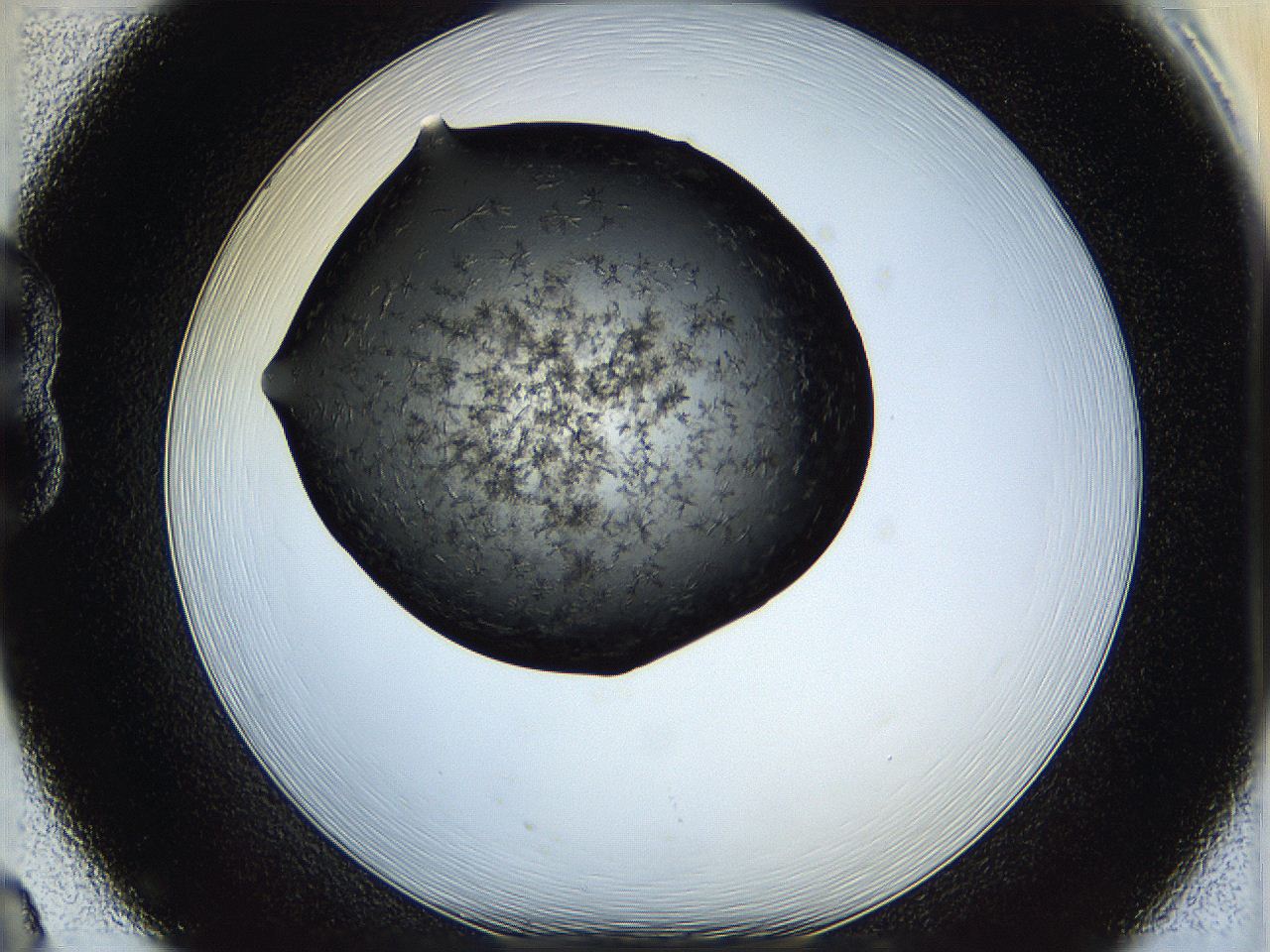 05hx_B8_ImagerDefaults_6.jpg