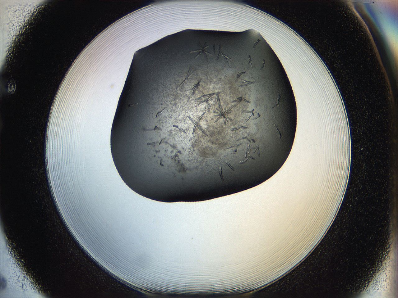 05hx_F5_ImagerDefaults_6.jpg