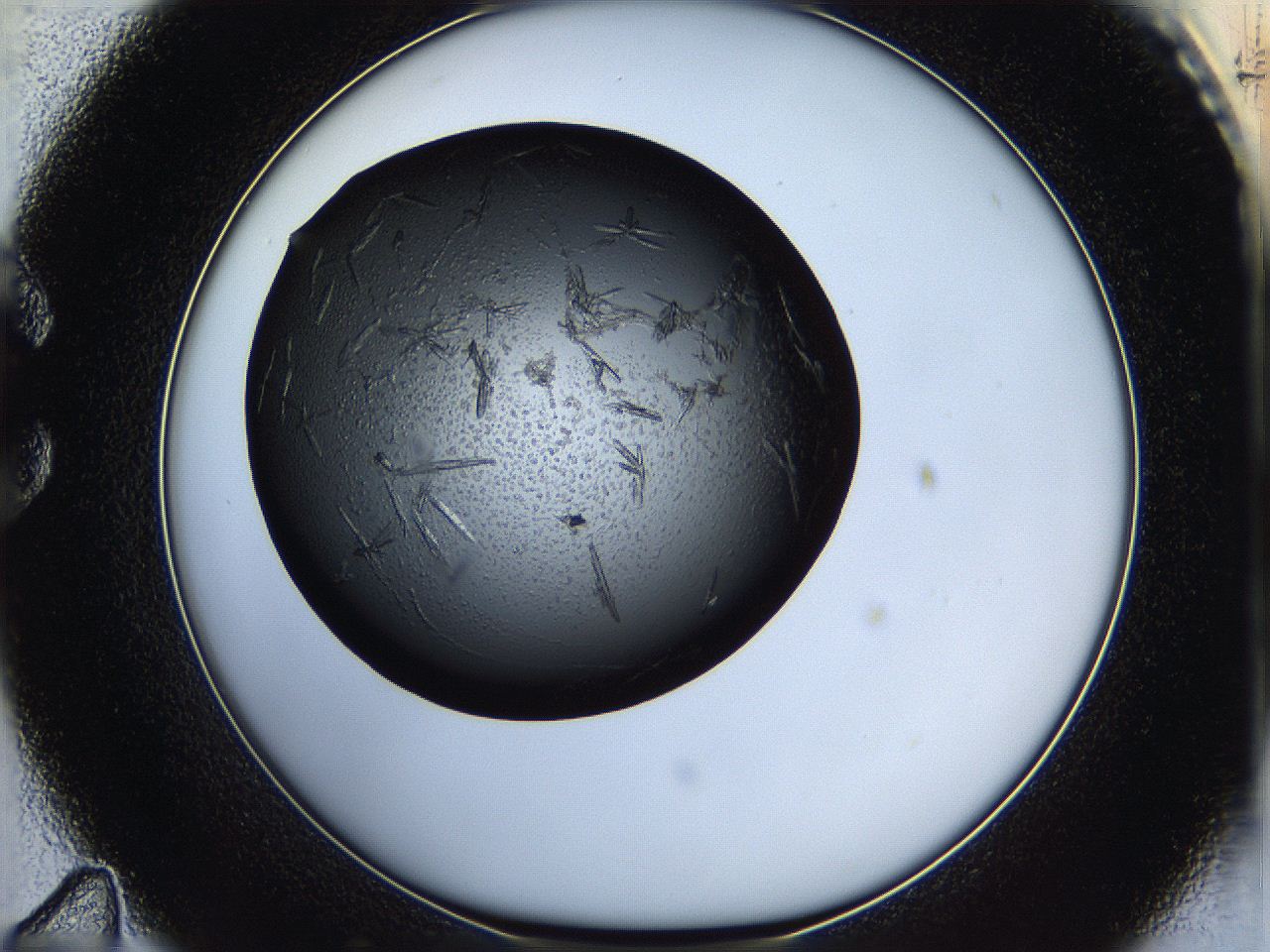 05hx_C11_ImagerDefaults_6.jpg
