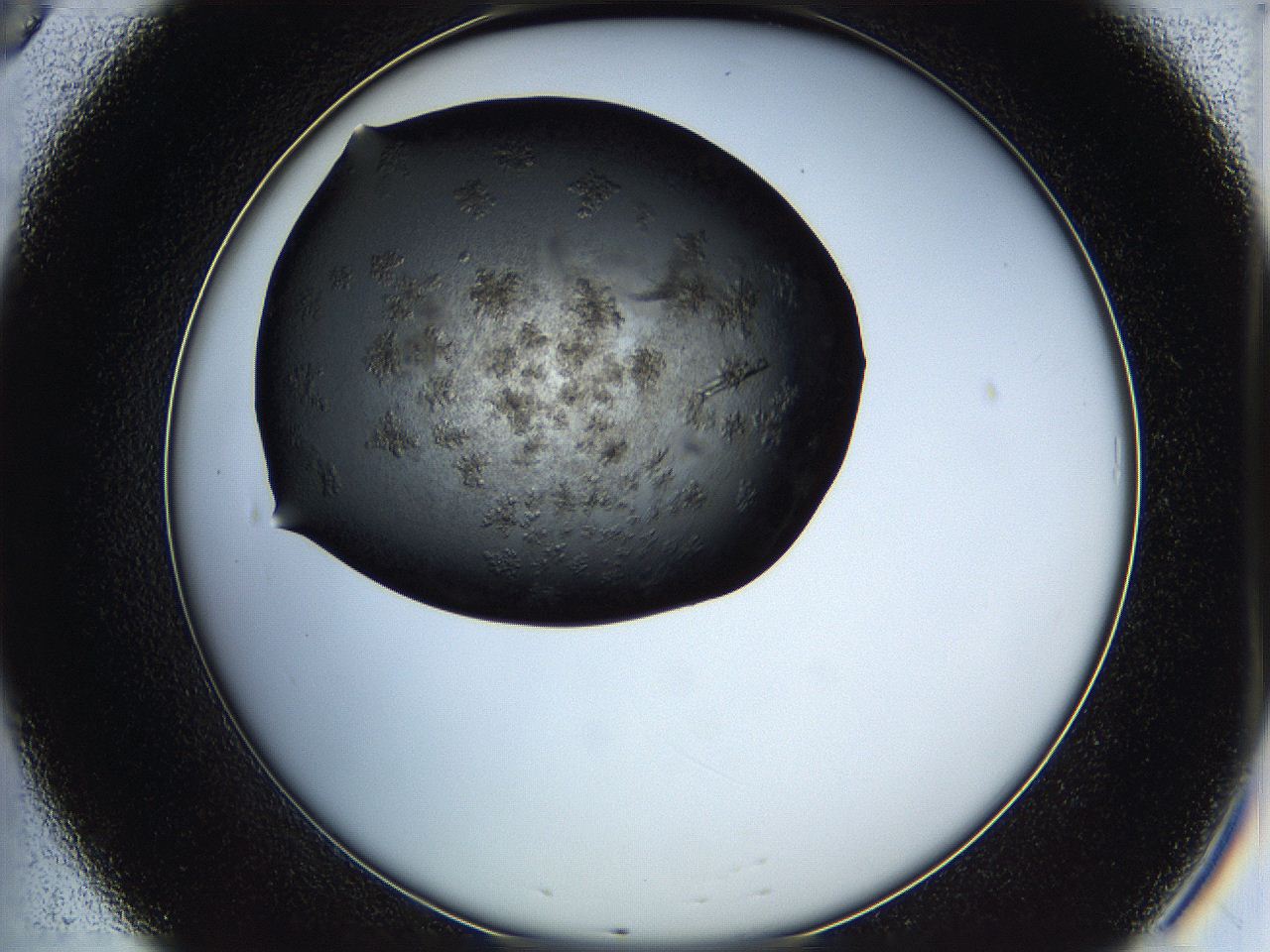 05hx_B8_ImagerDefaults_9.jpg