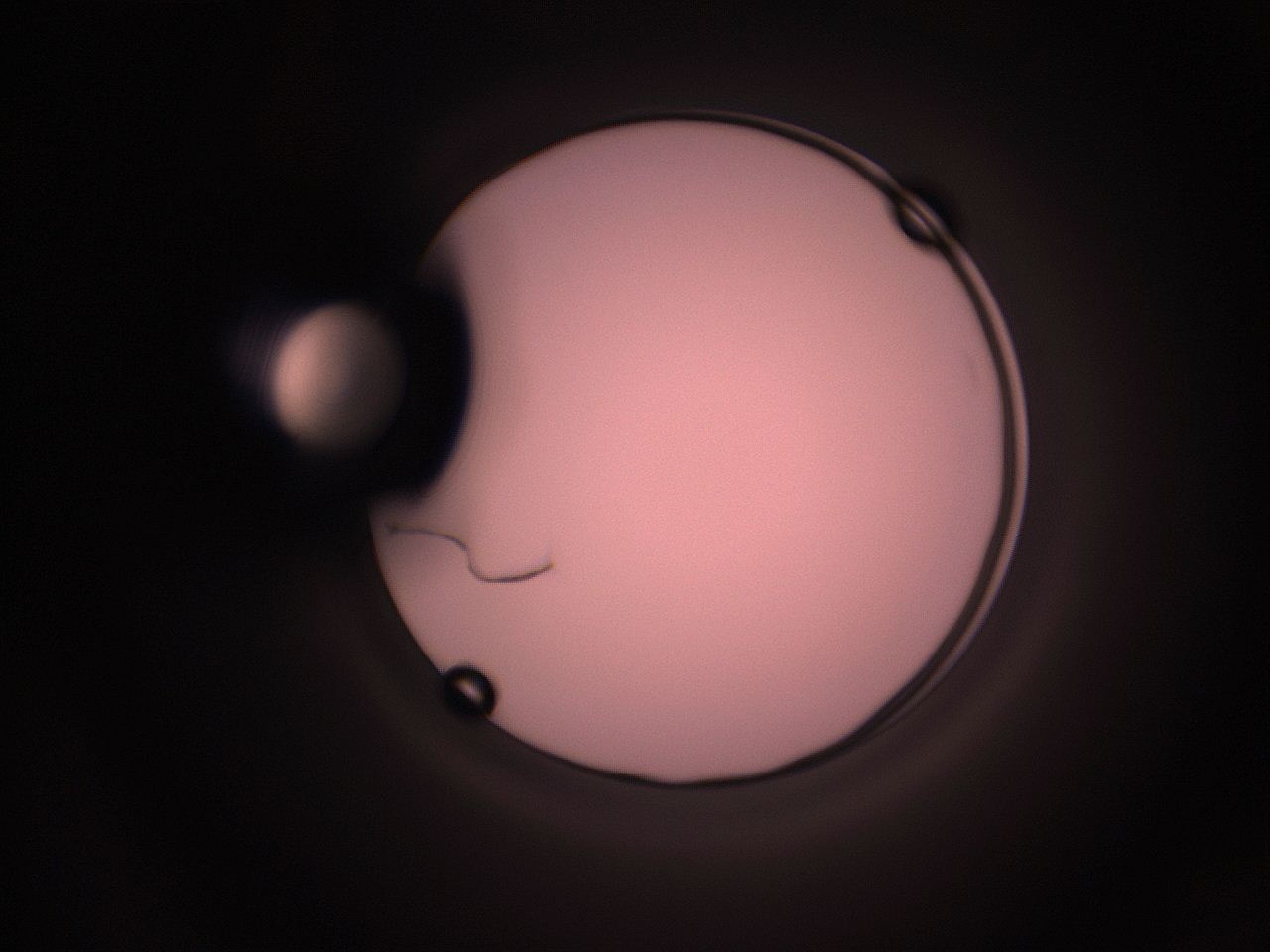05hy_D12_ImagerDefaults_1.jpg