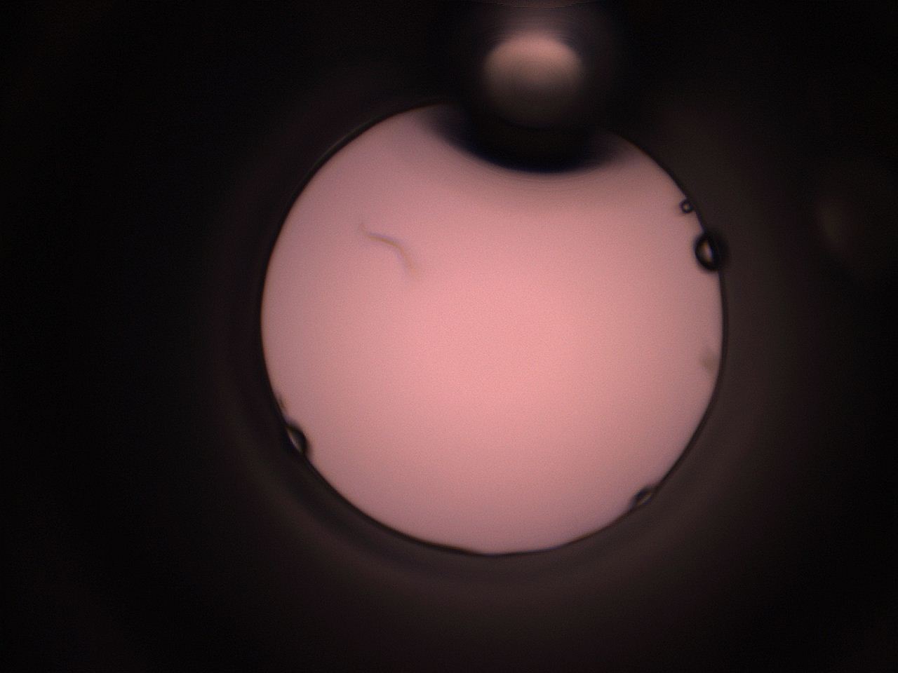 05hy_D13_ImagerDefaults_1.jpg