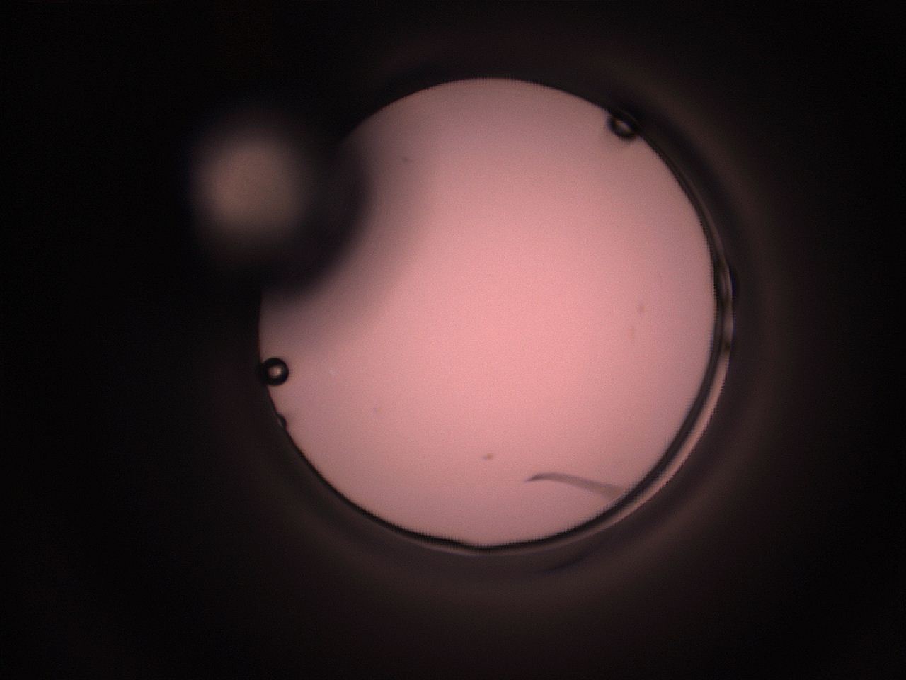 05hy_E4_ImagerDefaults_1.jpg