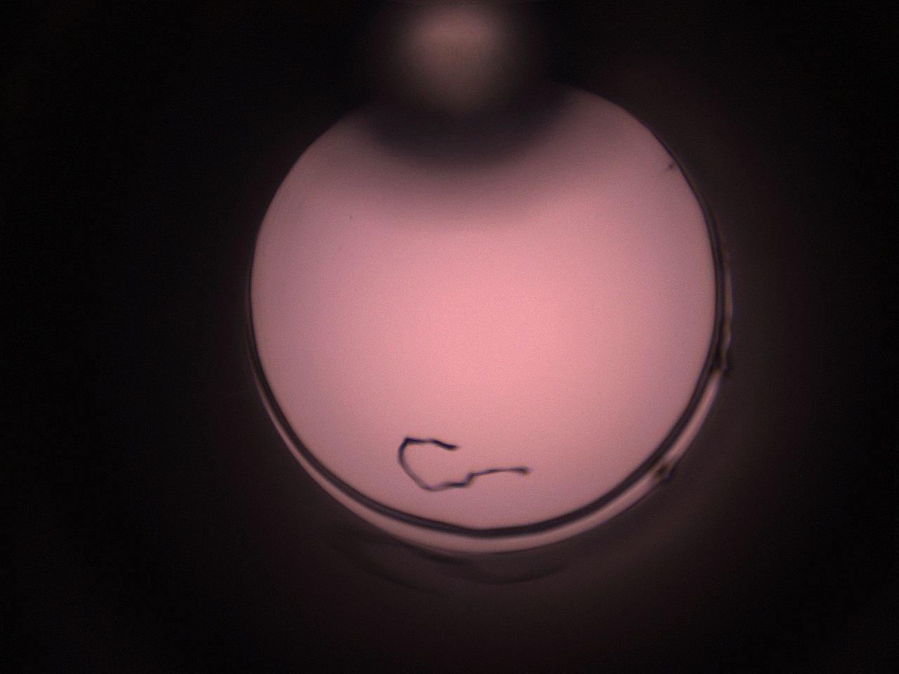 05hy_F1_ImagerDefaults_1.jpg