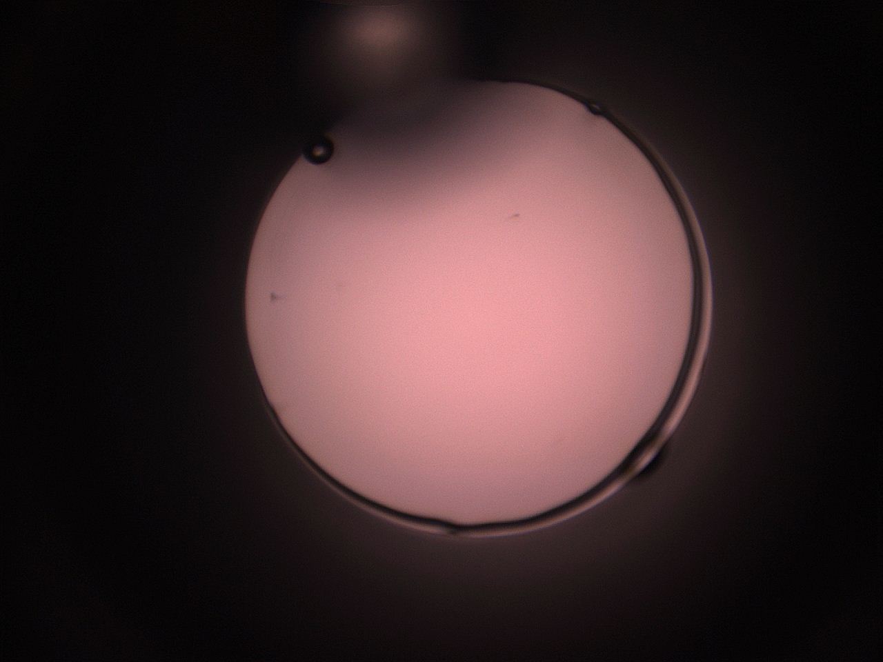 05hy_F4_ImagerDefaults_1.jpg