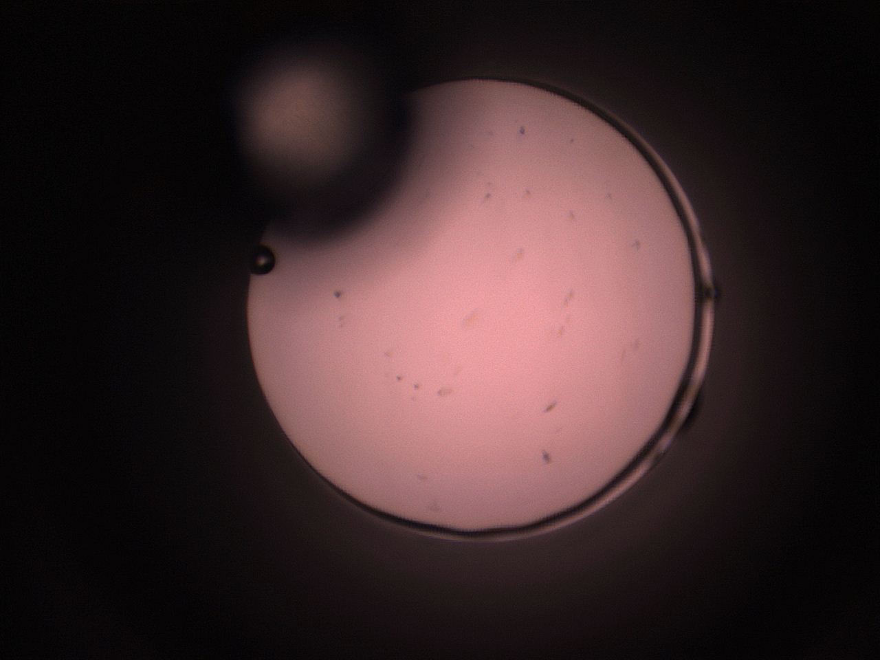 05hy_F7_ImagerDefaults_9.jpg