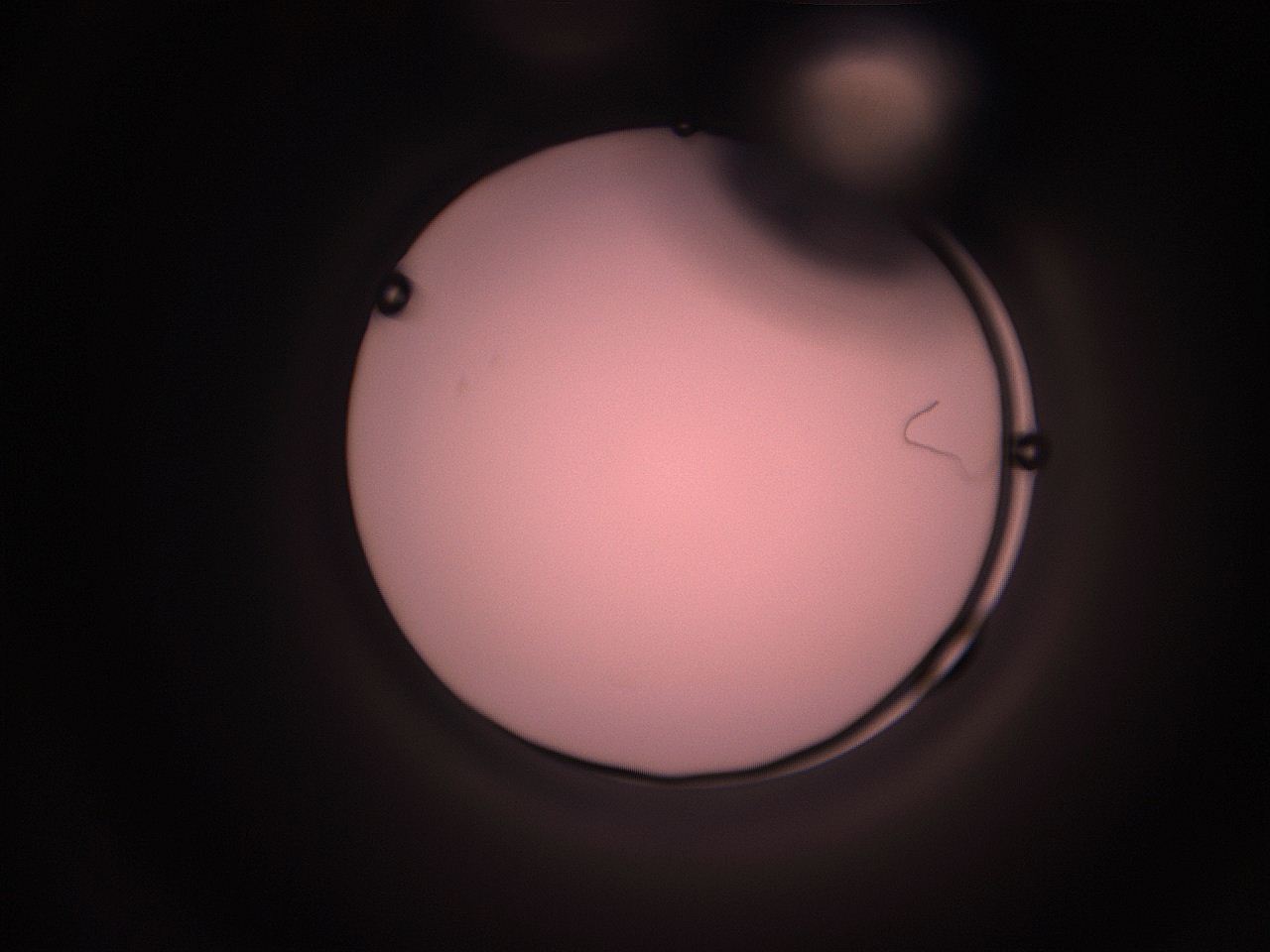 05hy_F9_ImagerDefaults_1.jpg