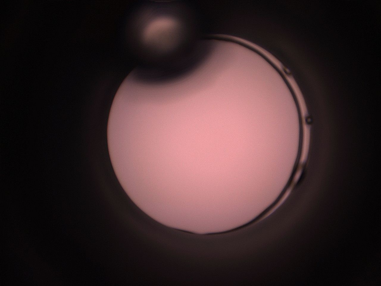 05hy_F12_ImagerDefaults_1.jpg