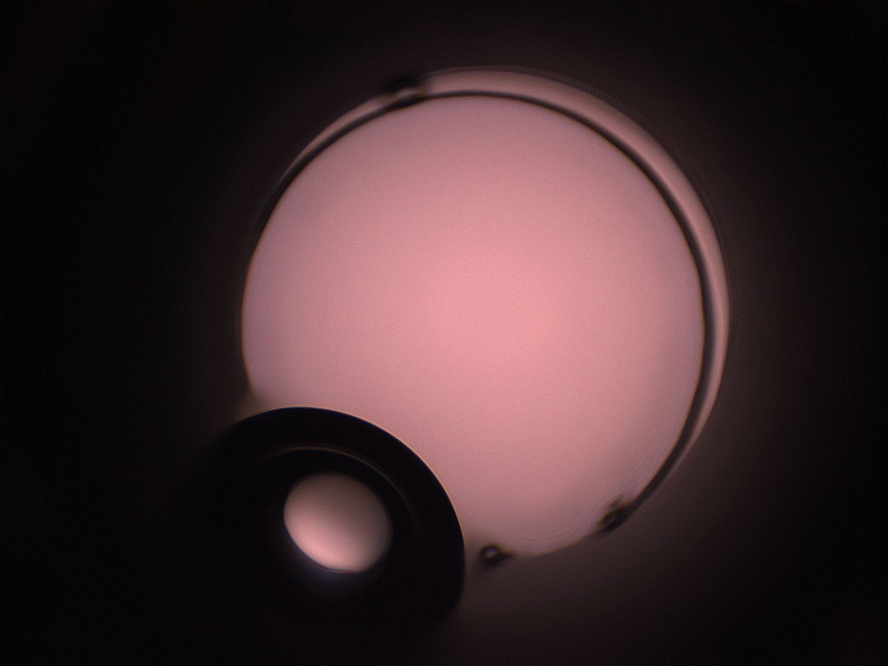 05hy_F24_ImagerDefaults_1.jpg