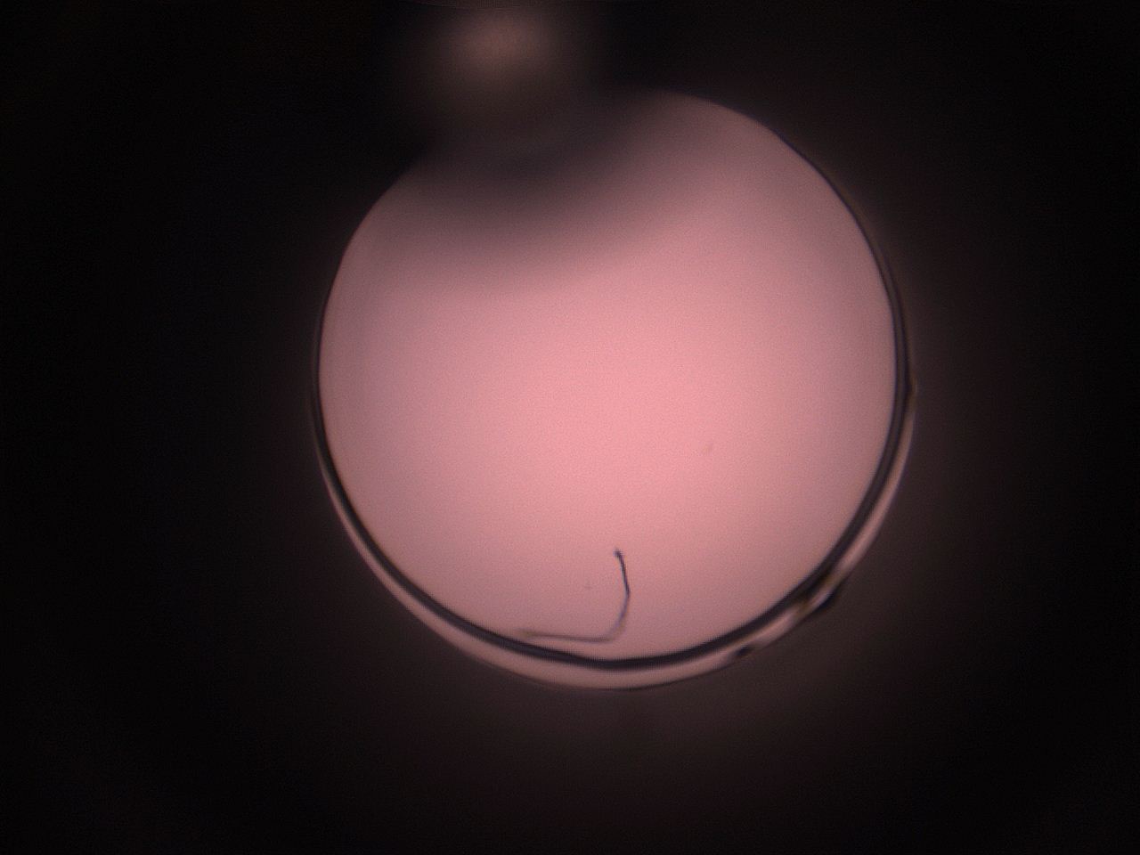 05hy_G1_ImagerDefaults_1.jpg