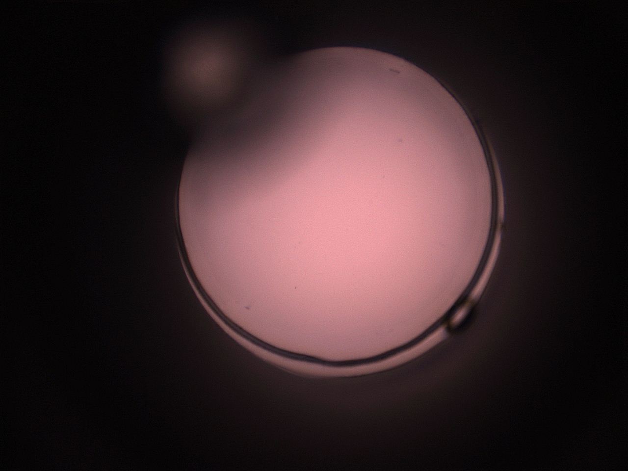05hy_H1_ImagerDefaults_1.jpg