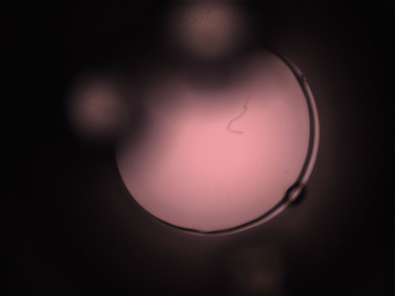 05hy_H6_ImagerDefaults_1.jpg