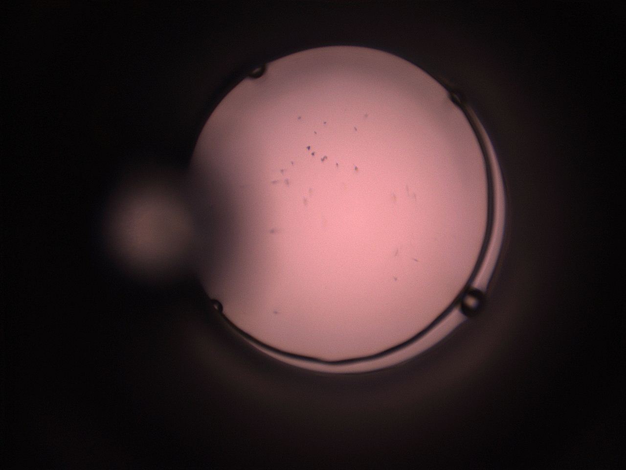 05hy_I7_ImagerDefaults_9.jpg