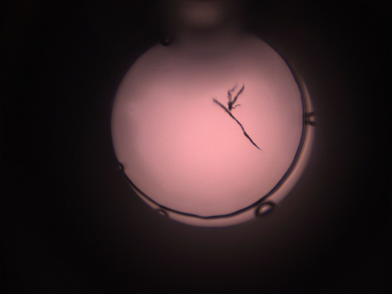 05hy_J3_ImagerDefaults_1.jpg