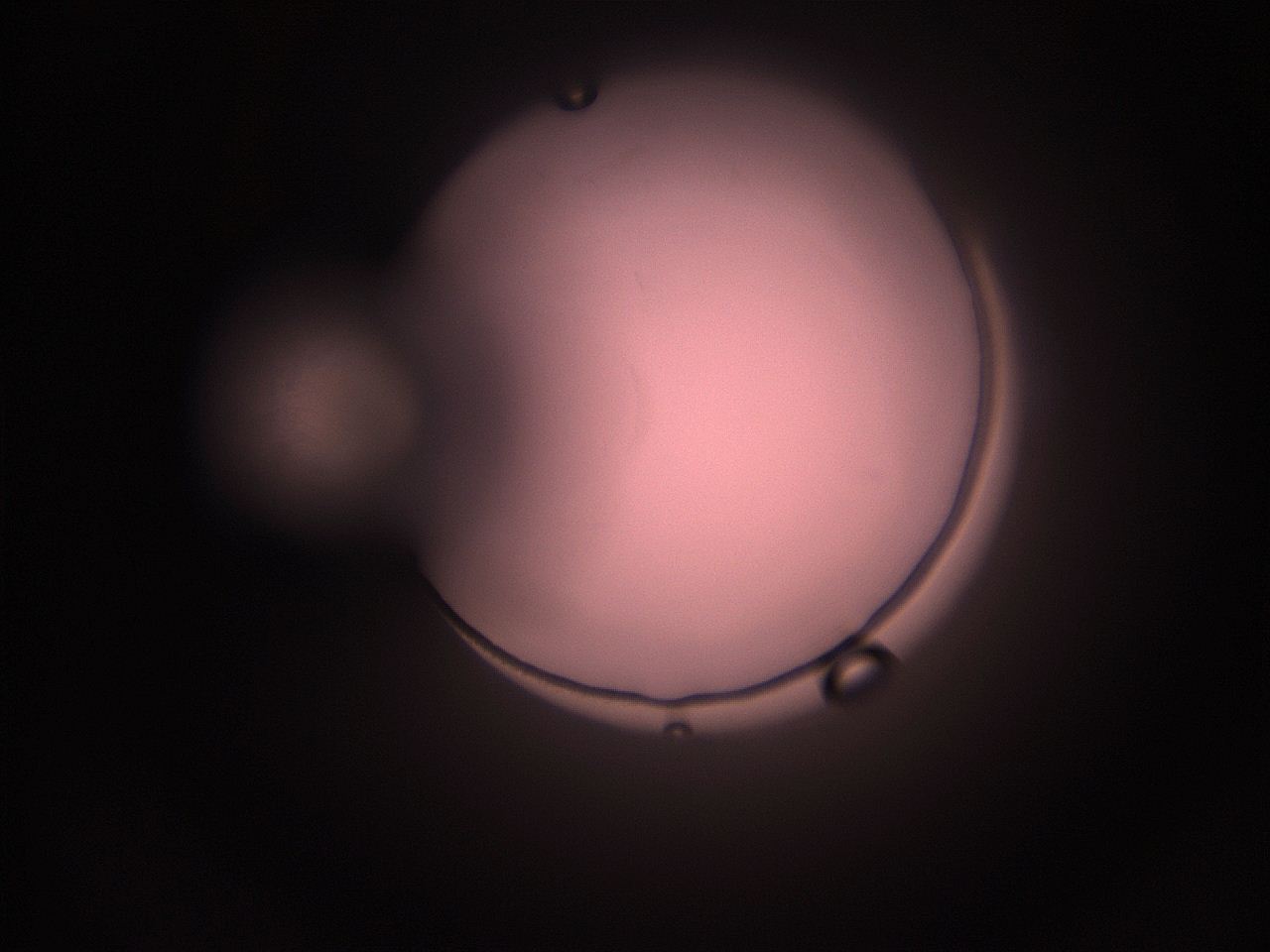 05hy_K4_ImagerDefaults_1.jpg