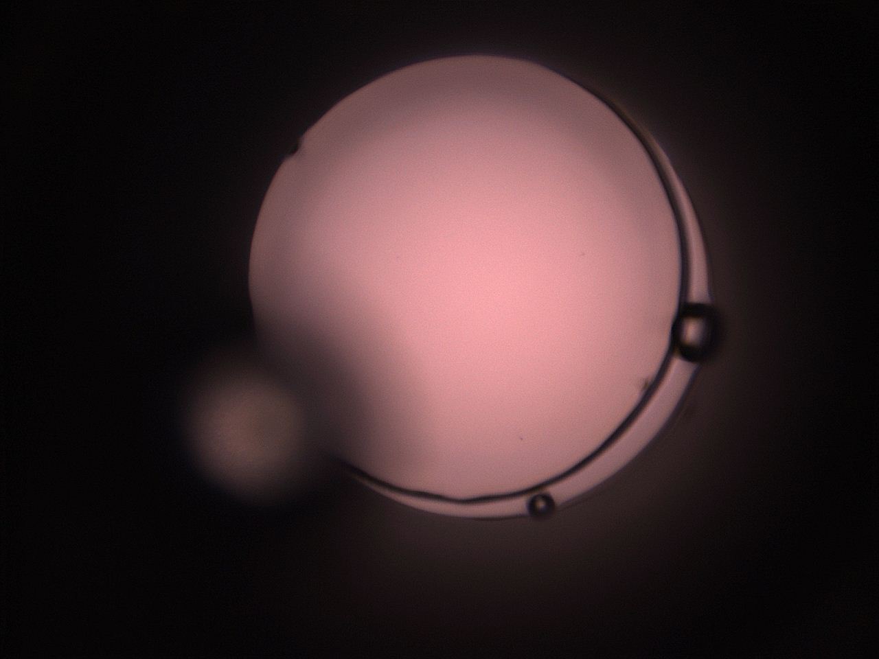05hy_K9_ImagerDefaults_1.jpg