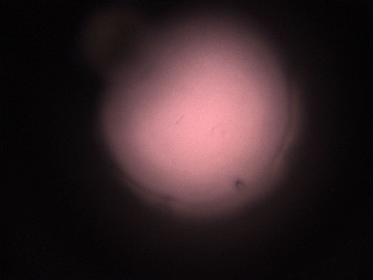 05hy_L1_ImagerDefaults_1.jpg