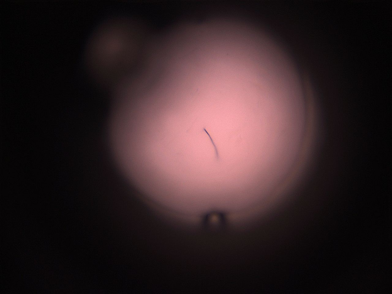05hy_L2_ImagerDefaults_1.jpg