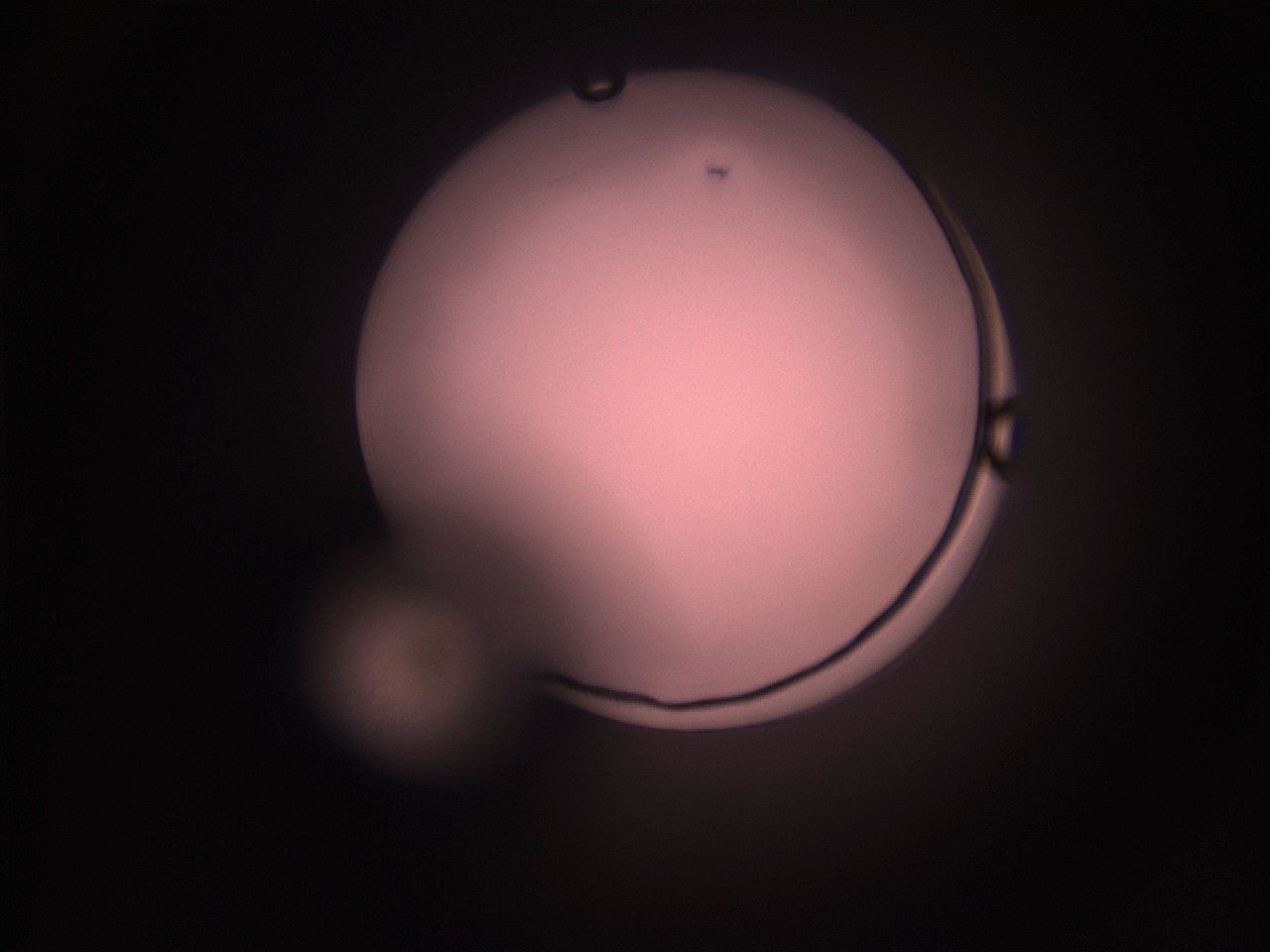 05hy_L7_ImagerDefaults_1.jpg