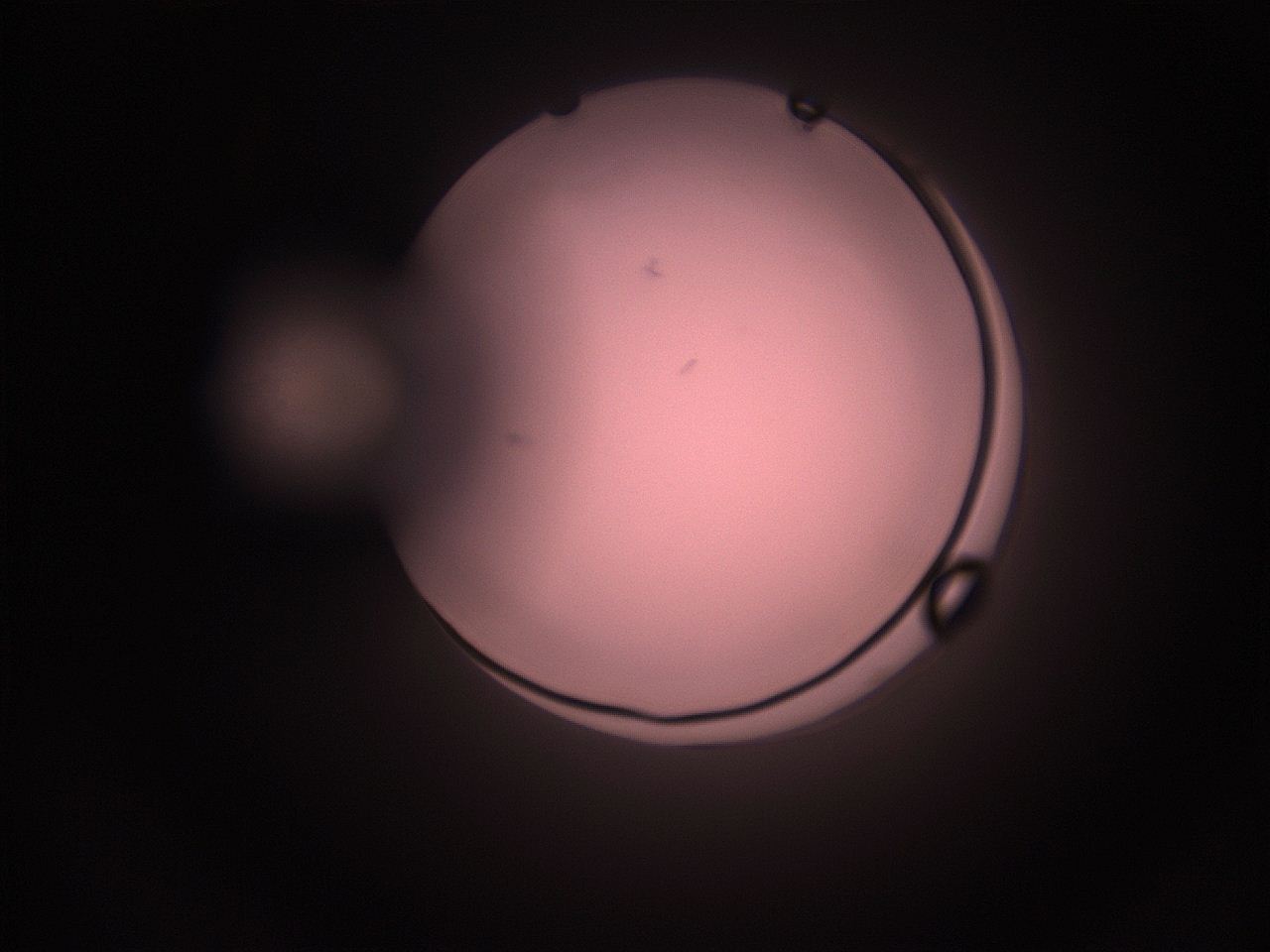 05hy_L8_ImagerDefaults_1.jpg