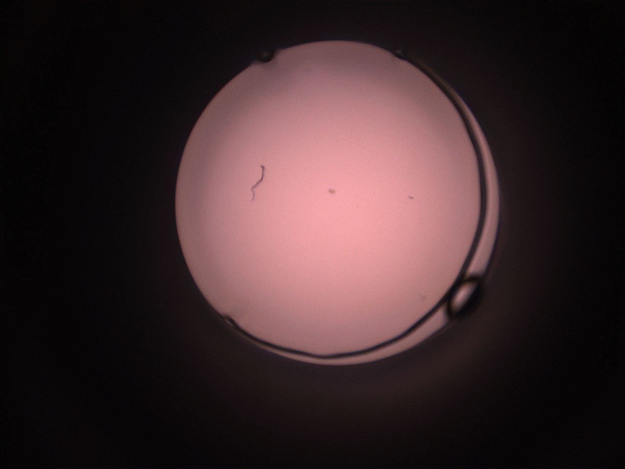 05hy_L10_ImagerDefaults_1.jpg