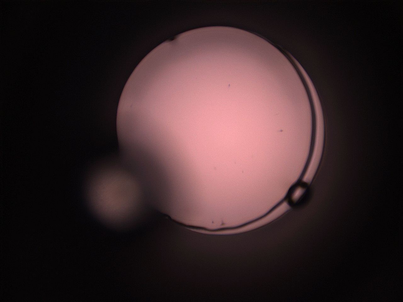 05hy_L11_ImagerDefaults_1.jpg