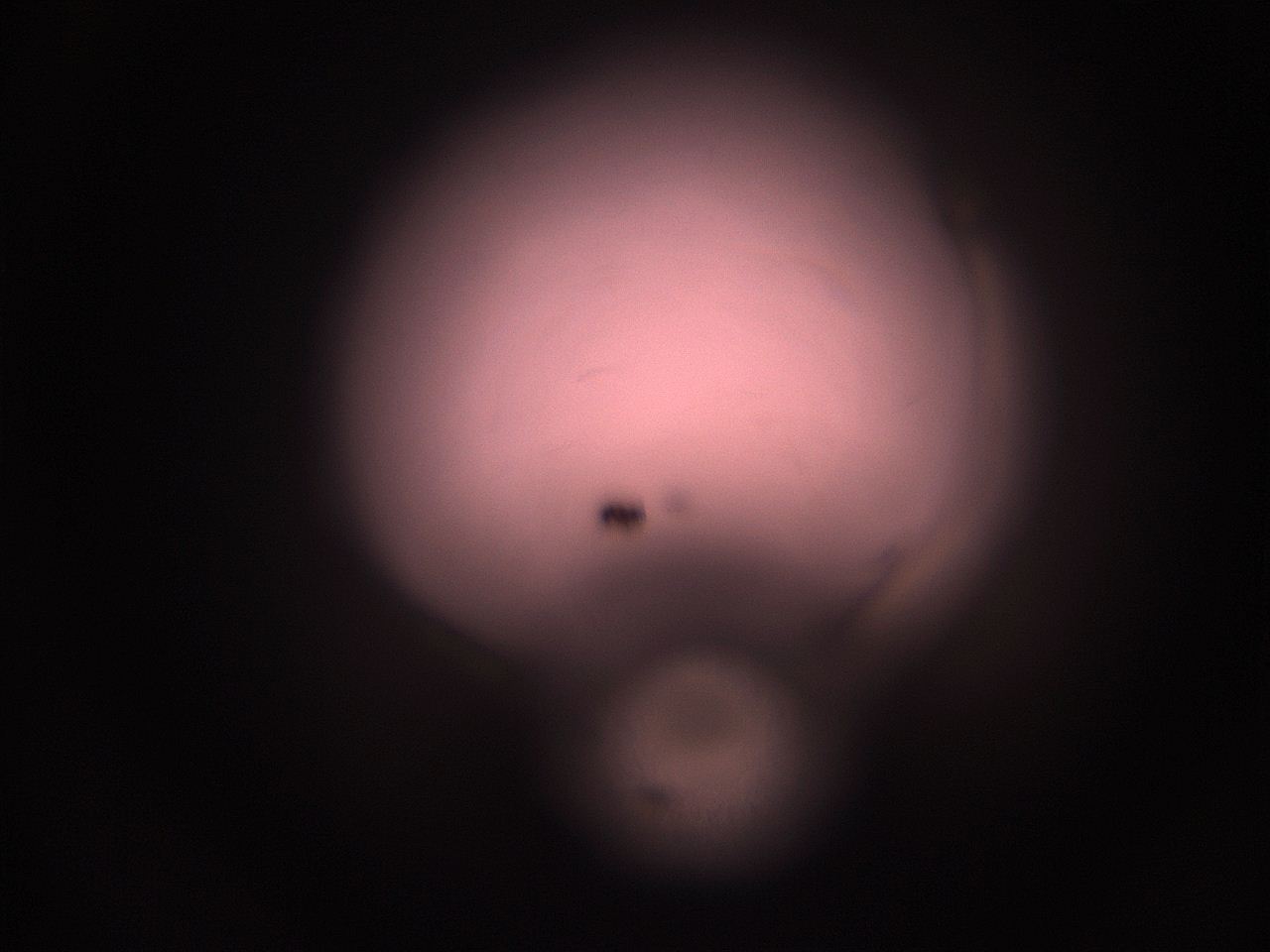 05hy_M4_ImagerDefaults_1.jpg