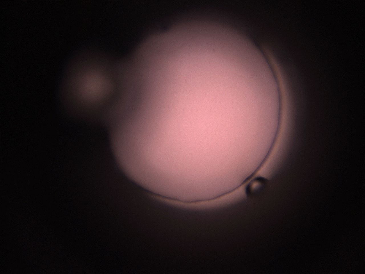 05hy_M6_ImagerDefaults_1.jpg
