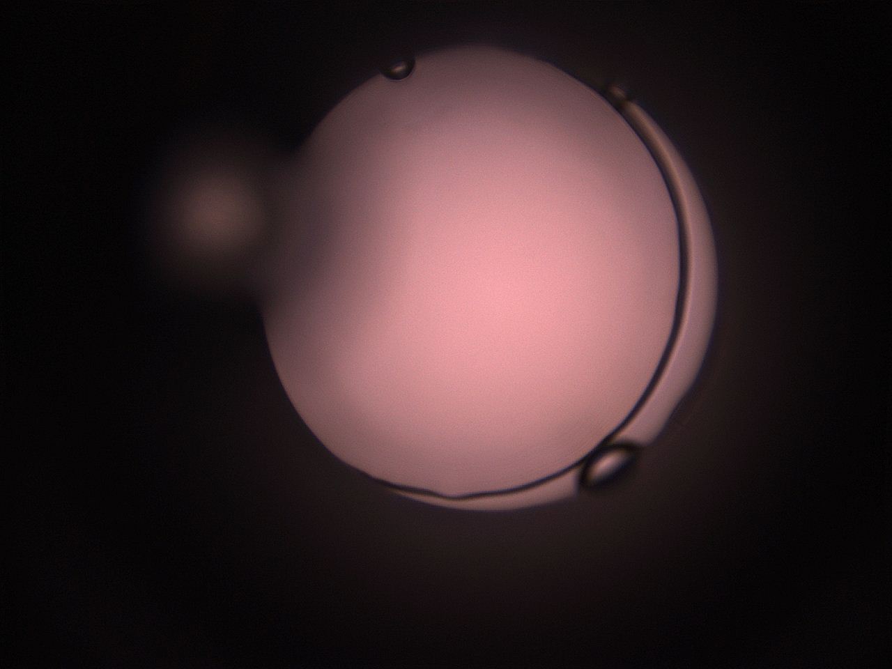 05hy_M8_ImagerDefaults_1.jpg