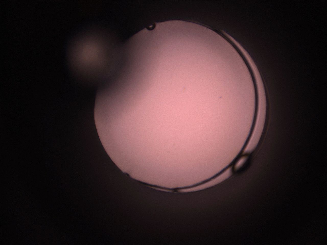 05hy_M12_ImagerDefaults_1.jpg