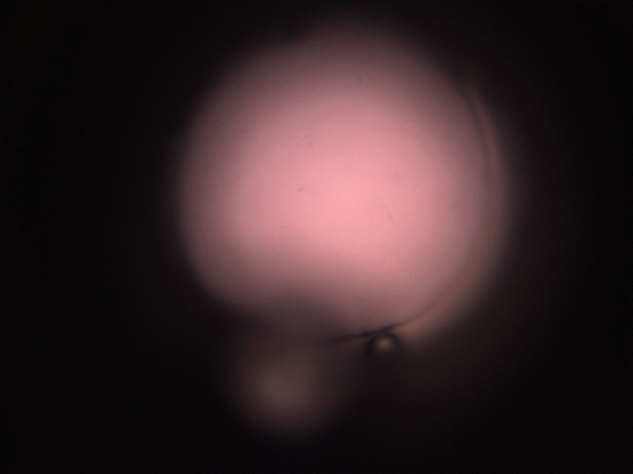 05hy_N6_ImagerDefaults_1.jpg