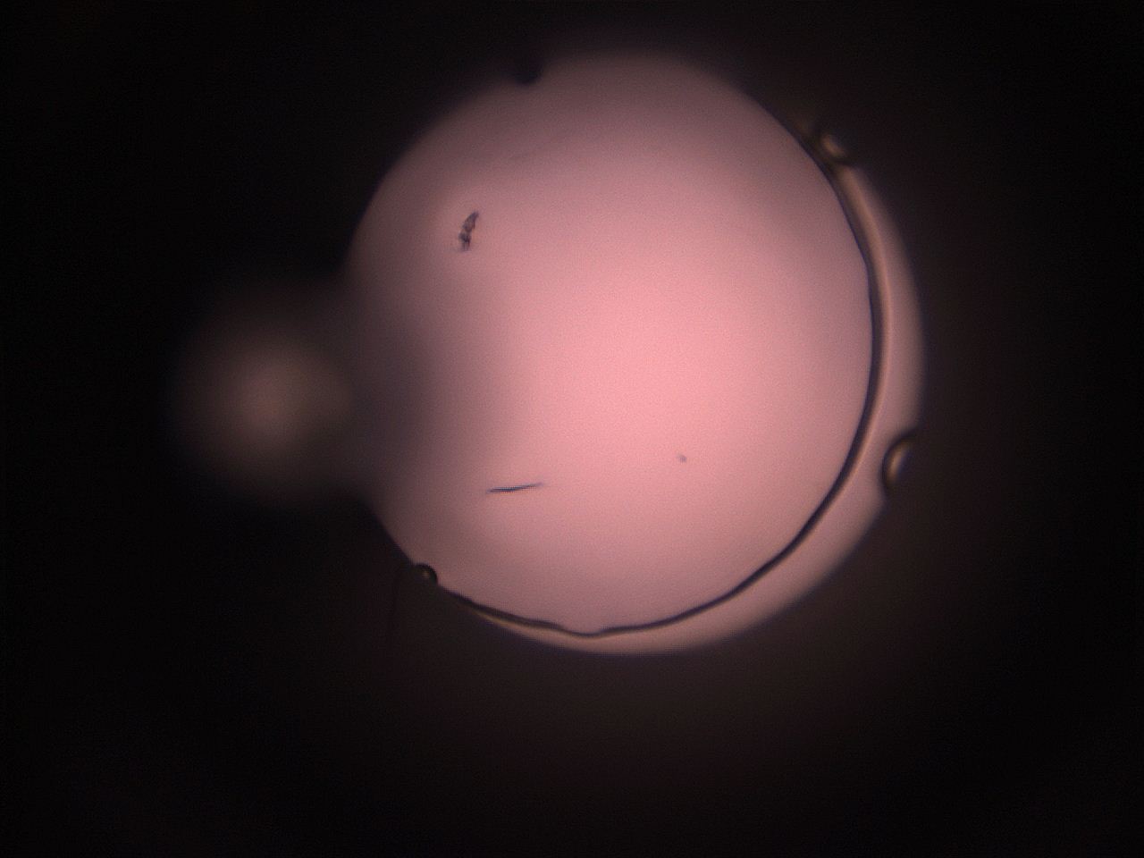 05hy_N8_ImagerDefaults_1.jpg