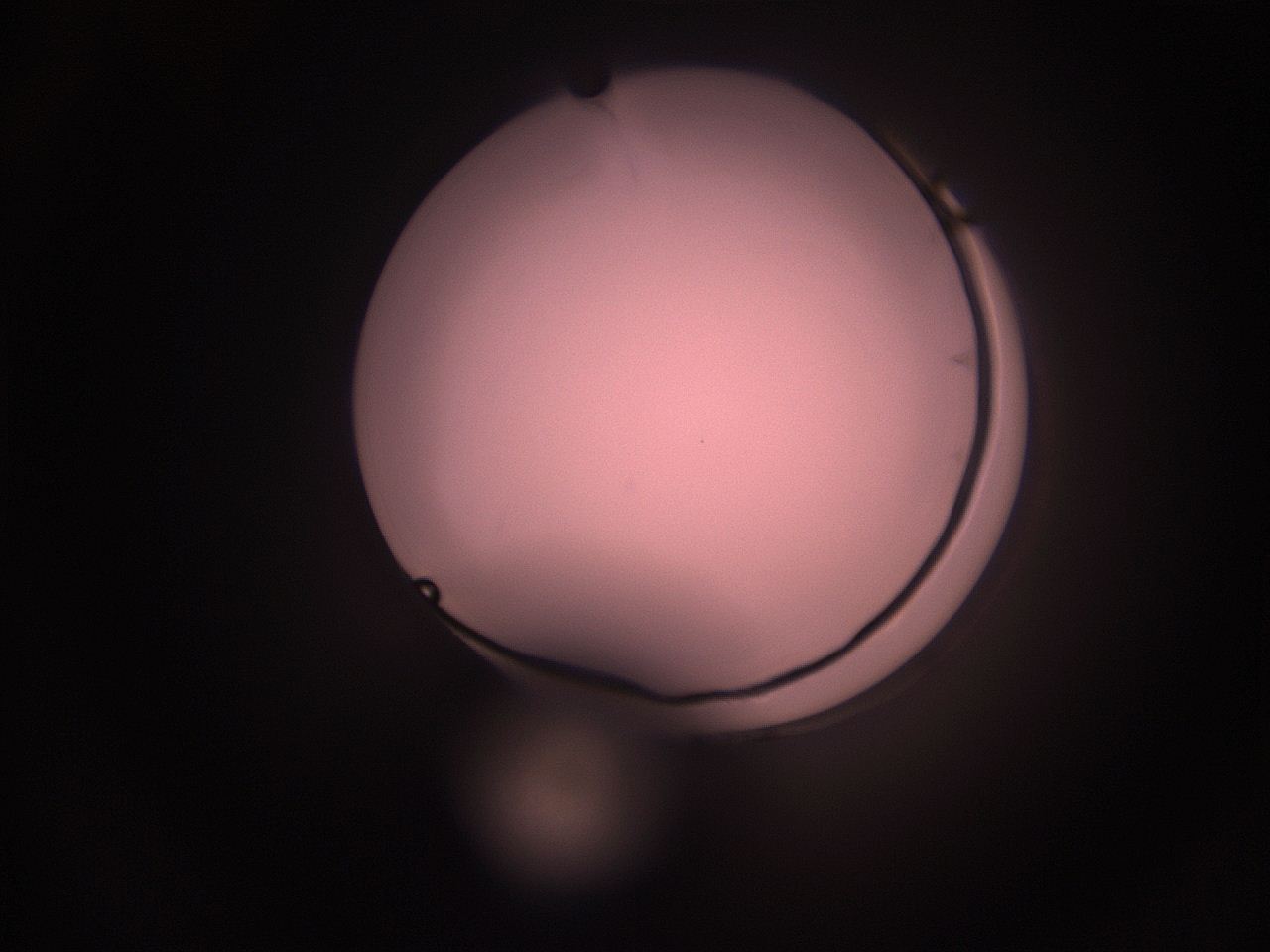 05hy_N9_ImagerDefaults_1.jpg